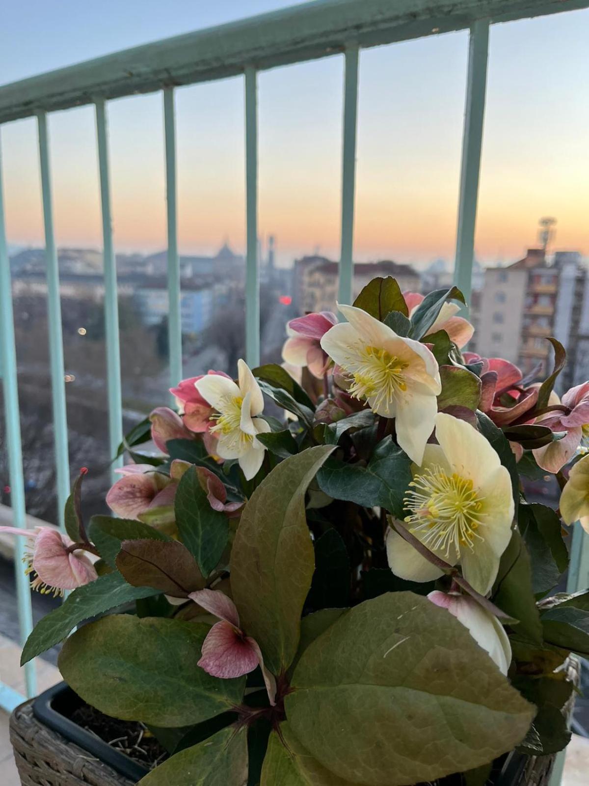 Attico Ellen Terrazza Con Vista Turin