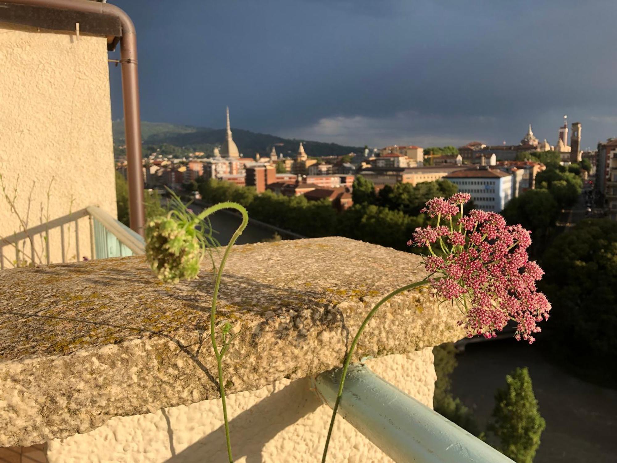Attico Ellen Terrazza Con Vista